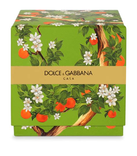 dolce gabbana arance sicilia|Sicily by Dolce & Gabbana .